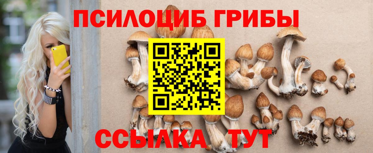 Псилоцибиновые грибы GOLDEN TEACHER Астрахань