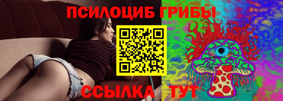 Псилоцибиновые грибы Psilocybine cubensis  Галлюциногенные грибы Magic Shrooms  Вход с VPN  Астрахань 